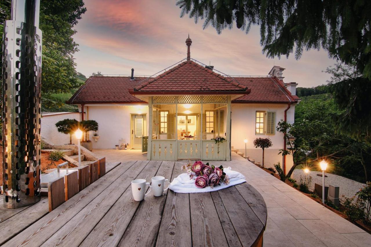Vila Vilma Vineyard Cottage Lendava Ngoại thất bức ảnh