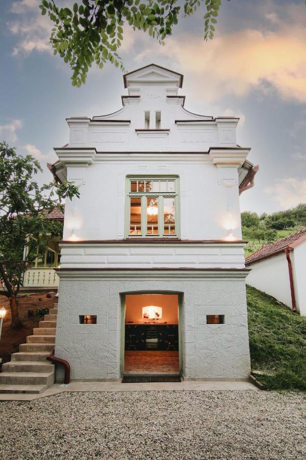 Vila Vilma Vineyard Cottage Lendava Ngoại thất bức ảnh